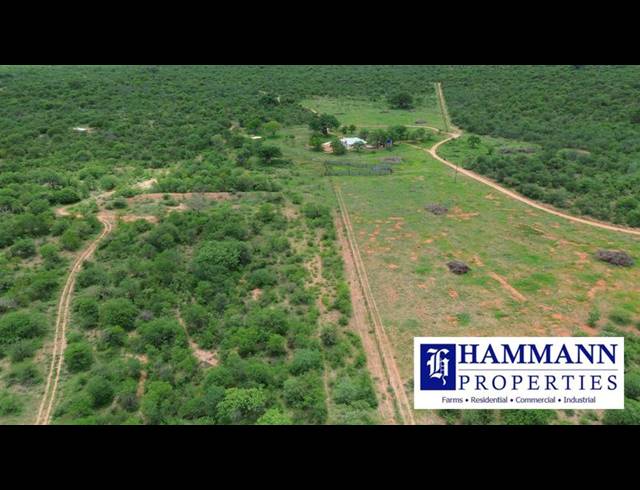 FARM FOR SALE IN MUSINA